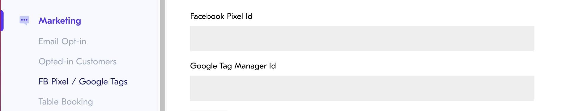 Google Tag Manager field 
